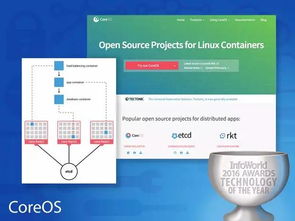 2023年度最佳硬件、軟件、開發工具、云服務與數據處理存儲支持服務全景概覽