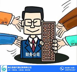 代理記賬與投資咨詢服務(wù) 為企業(yè)和個(gè)人提供專業(yè)財(cái)務(wù)支持