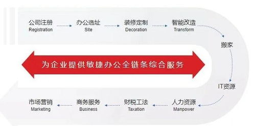 為什么選擇堂堂辦公的投資咨詢服務？